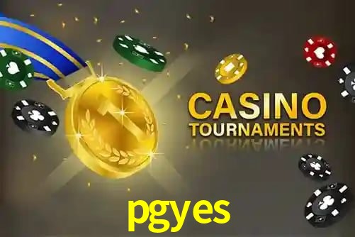 pgyes.com