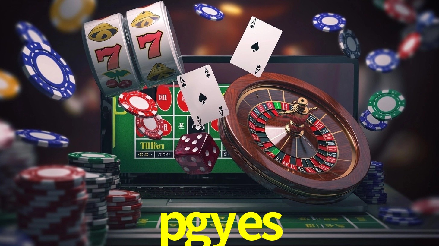 Premium Interface pgyes