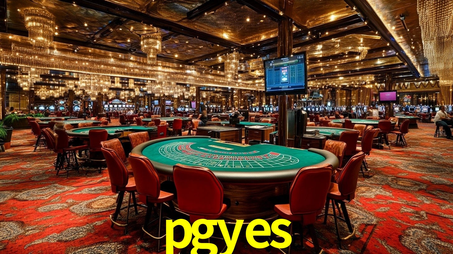 pgyes.com