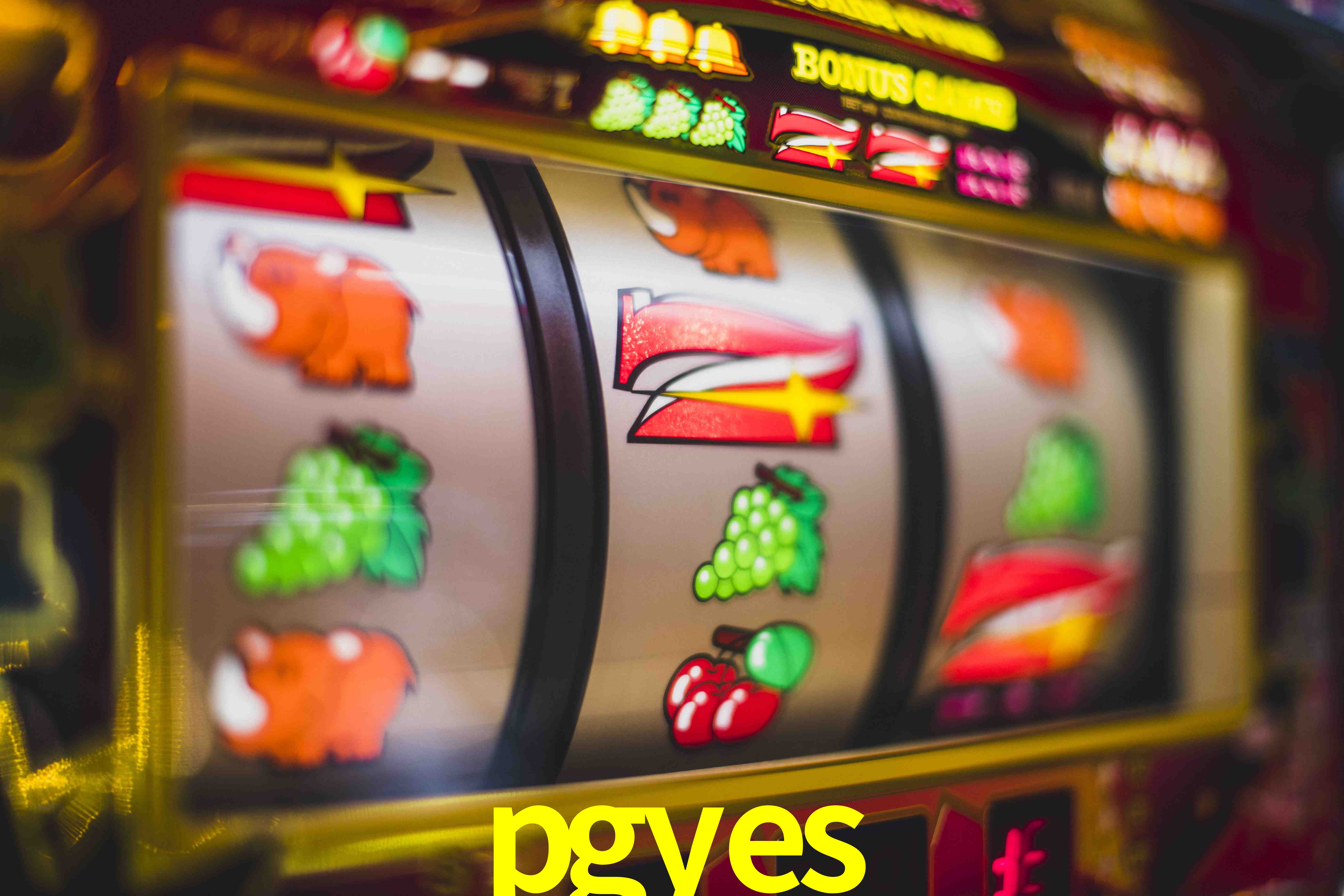 Tennis Betting pgyes